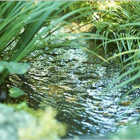 Ryokan Asono Yamaboushi Buitenkant foto